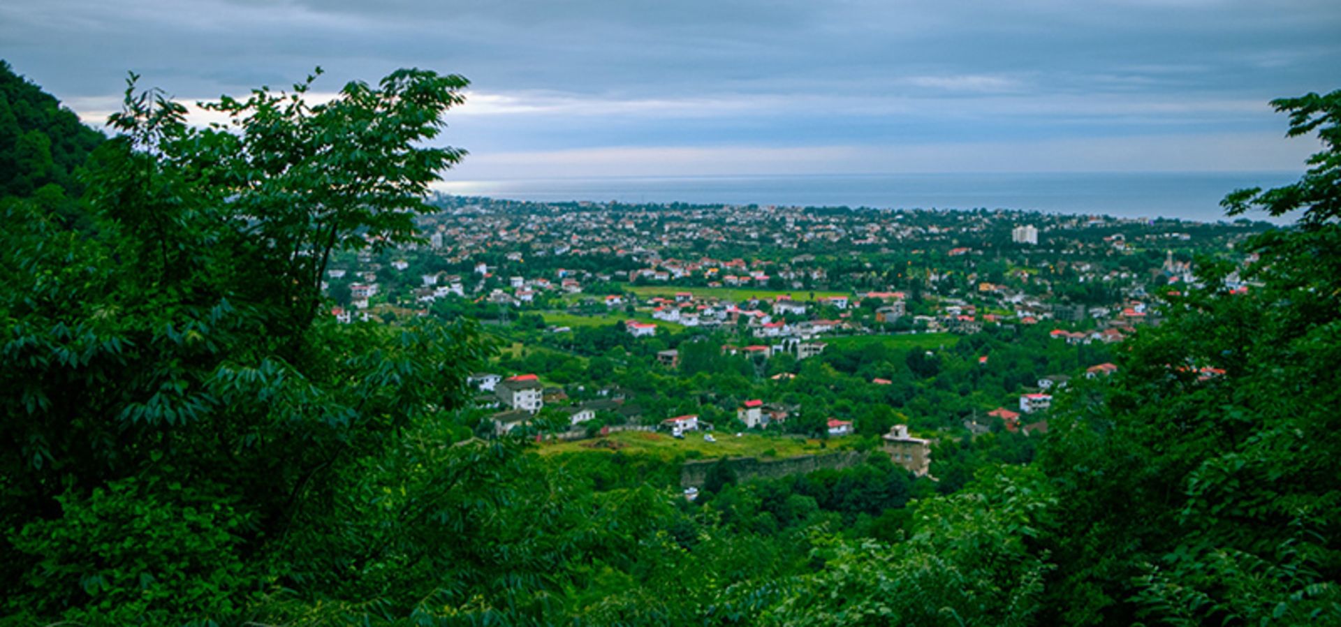 The green nature of Nowshahr in summer