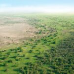 Coping with desertification in China