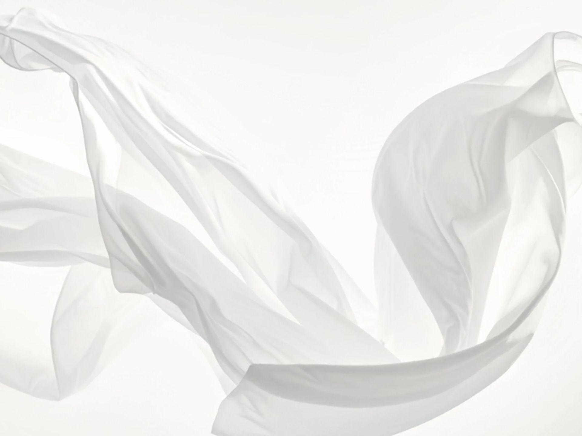 The color of 2026