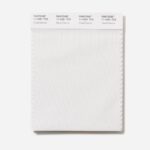 2026 Color of the Year Announced: Cloud Dancer, a natural white with a soothing vibe - Diginoy