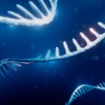 Scientists have discovered a creature that violates a fundamental law of biology - diginoi