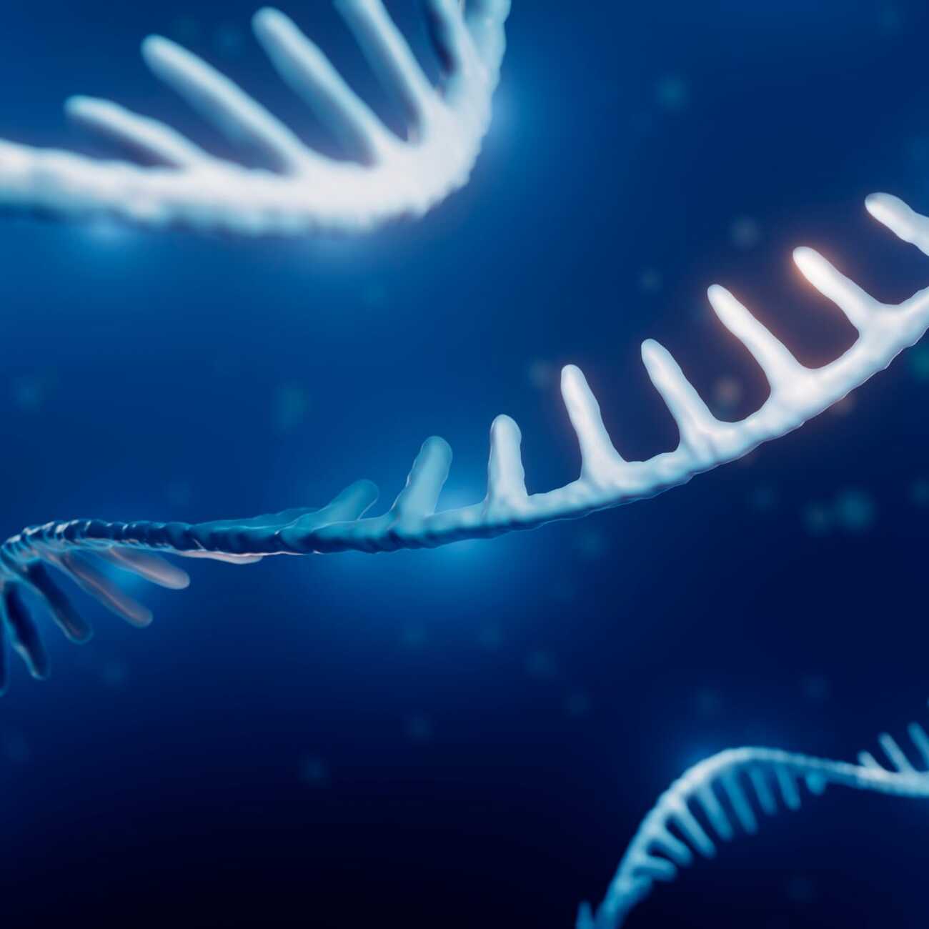 Scientists have discovered a creature that violates a fundamental law of biology - diginoi