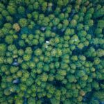 Aerial view of China's secret camp residence