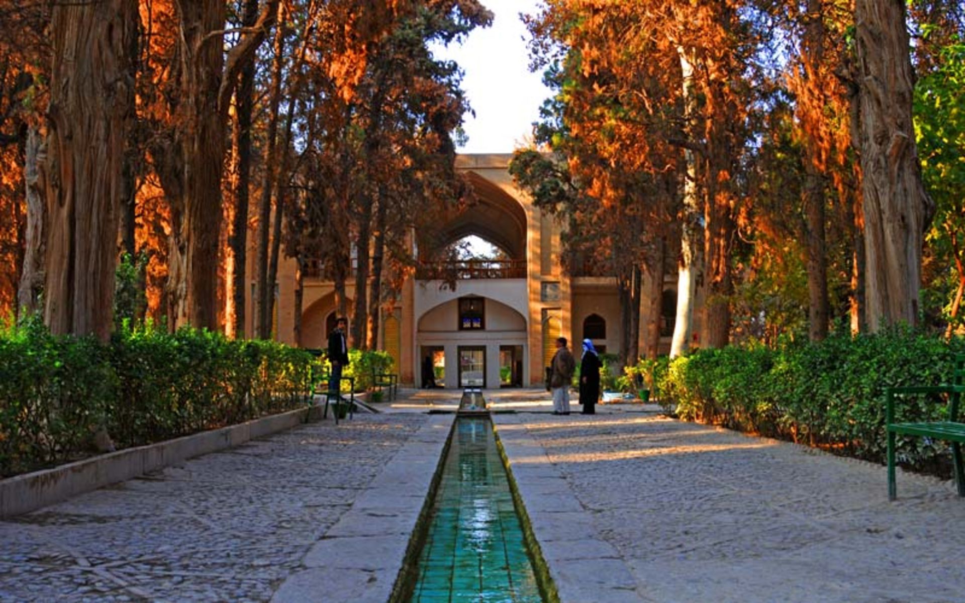 The green area of ​​Fin Kashan garden