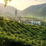 Prosecco hills with vineyards and a village in the background in Treviso
