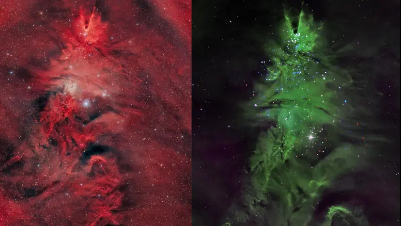 The glow of the Christmas tree in the heart of space