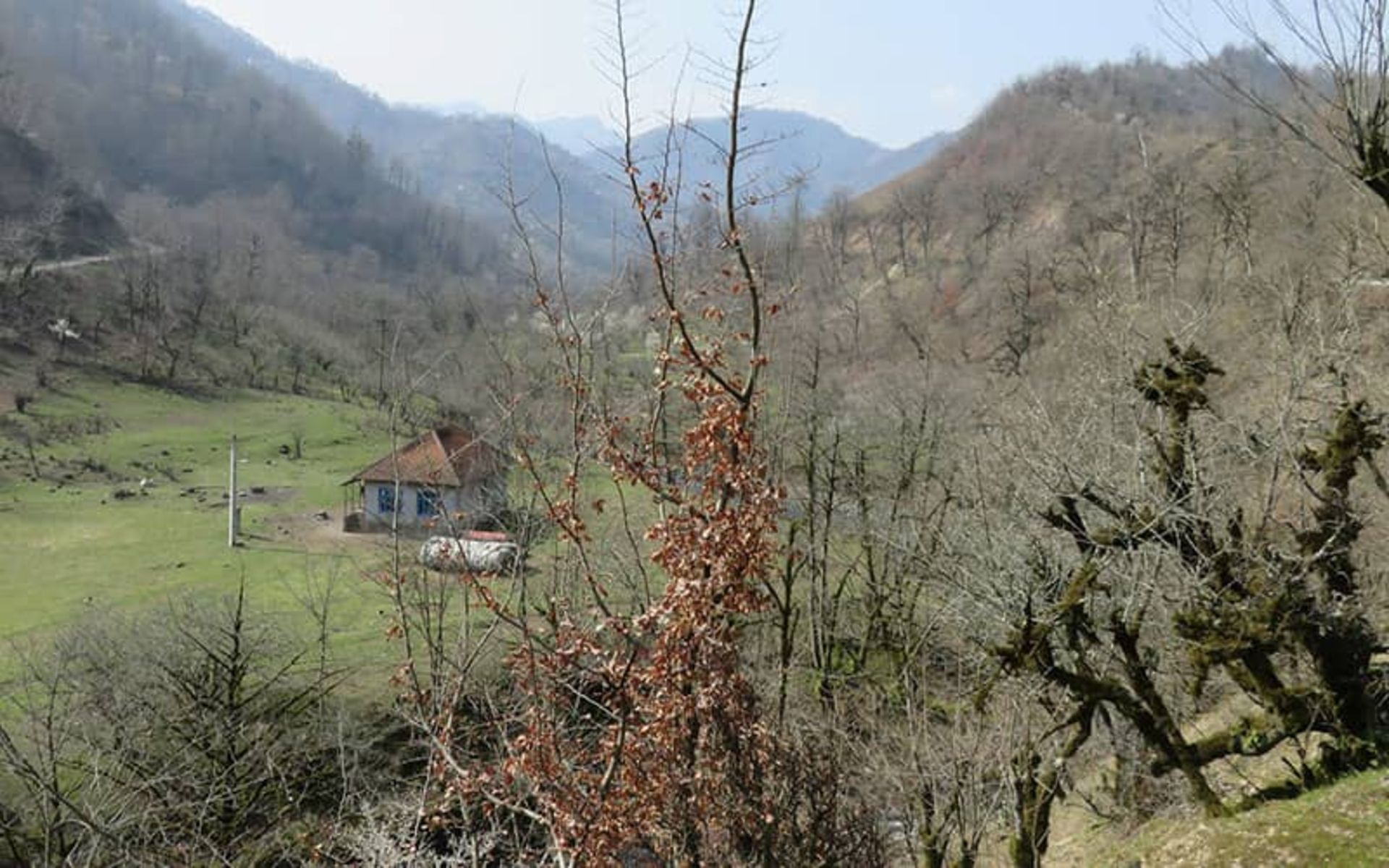 Autumn nature of Kote Kome village