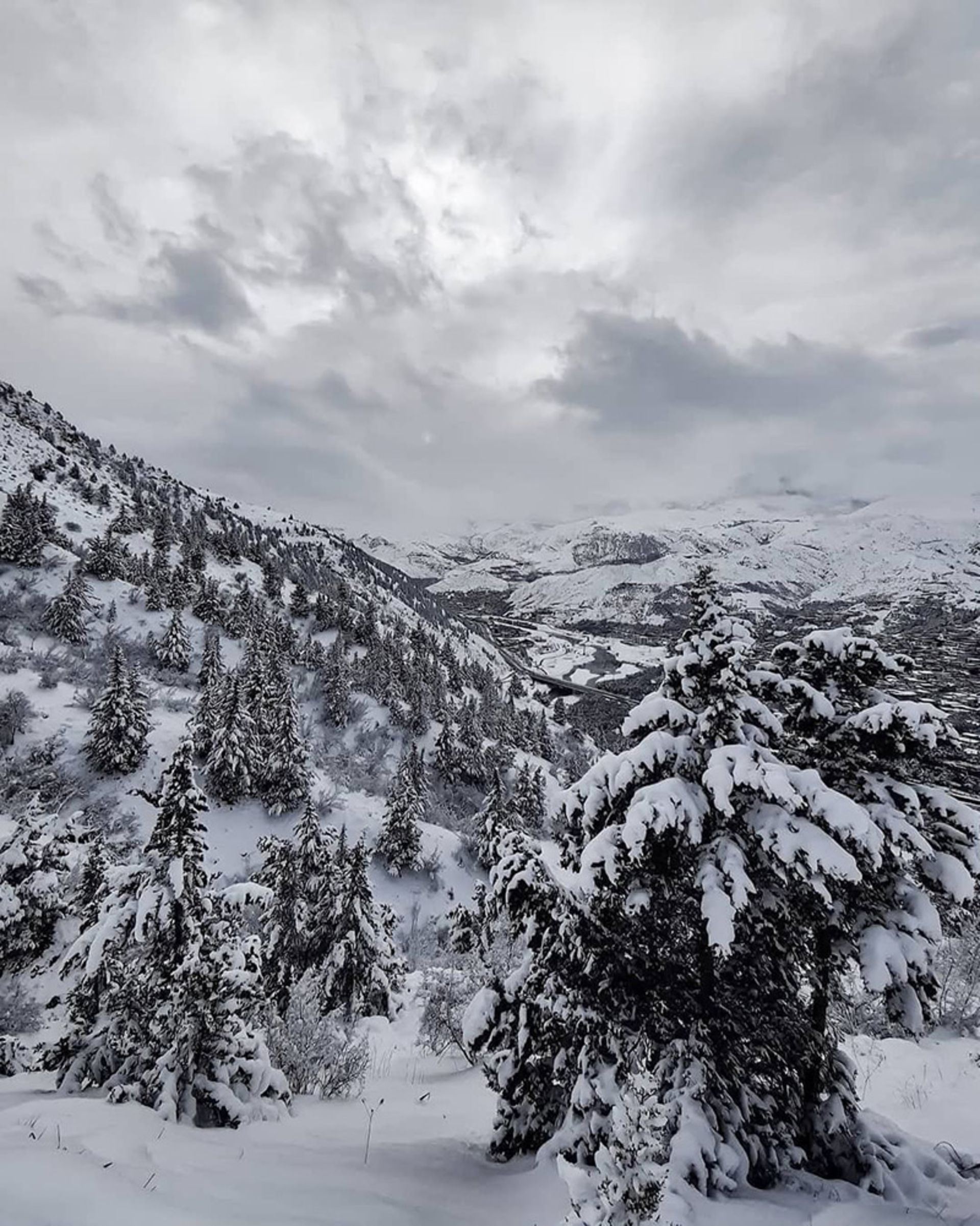 Snow-covered forests of the river in wier