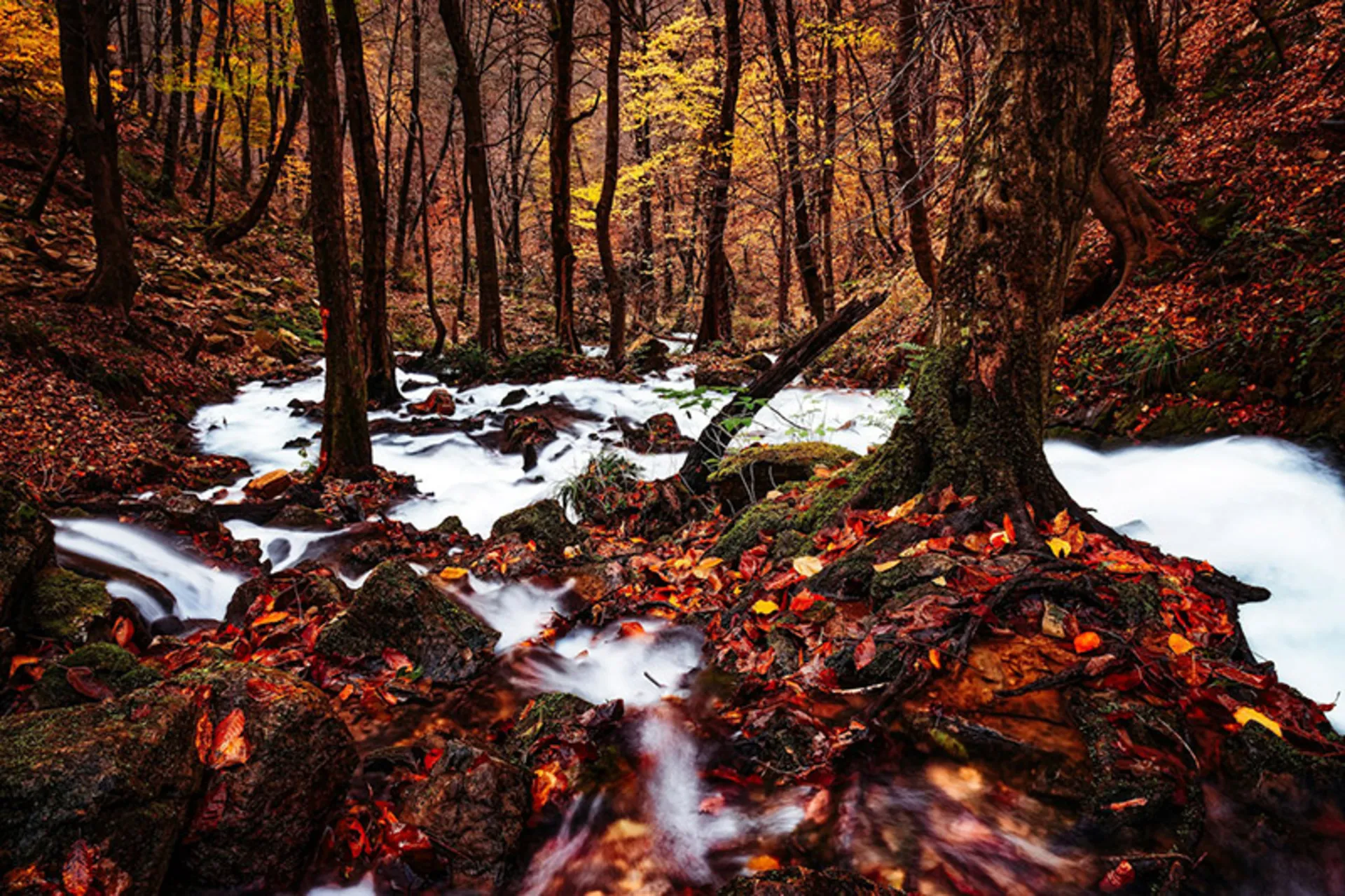 Autumn landscape of forests around Rudbar