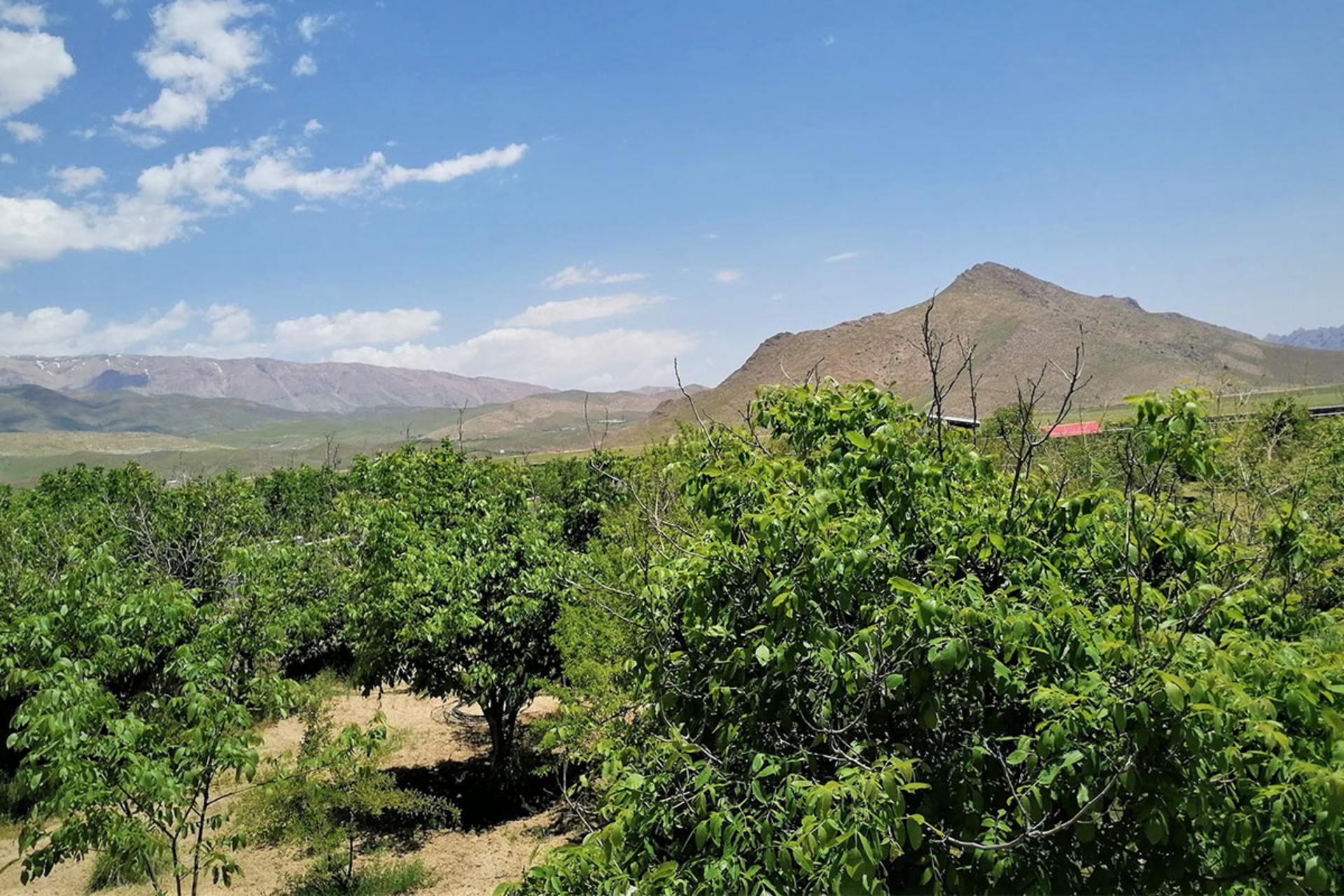 The best villages of Damavand; Nature near Tehran that you should not miss!