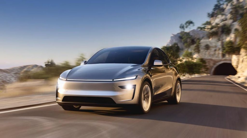 Tesla Robotaxis