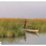 Where is the Shadgan lagoon? | Information before the trip