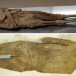 The back and front of the mummy of the Austrian vicar