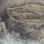 Skeleton of one of the warriors in the grave in good condition