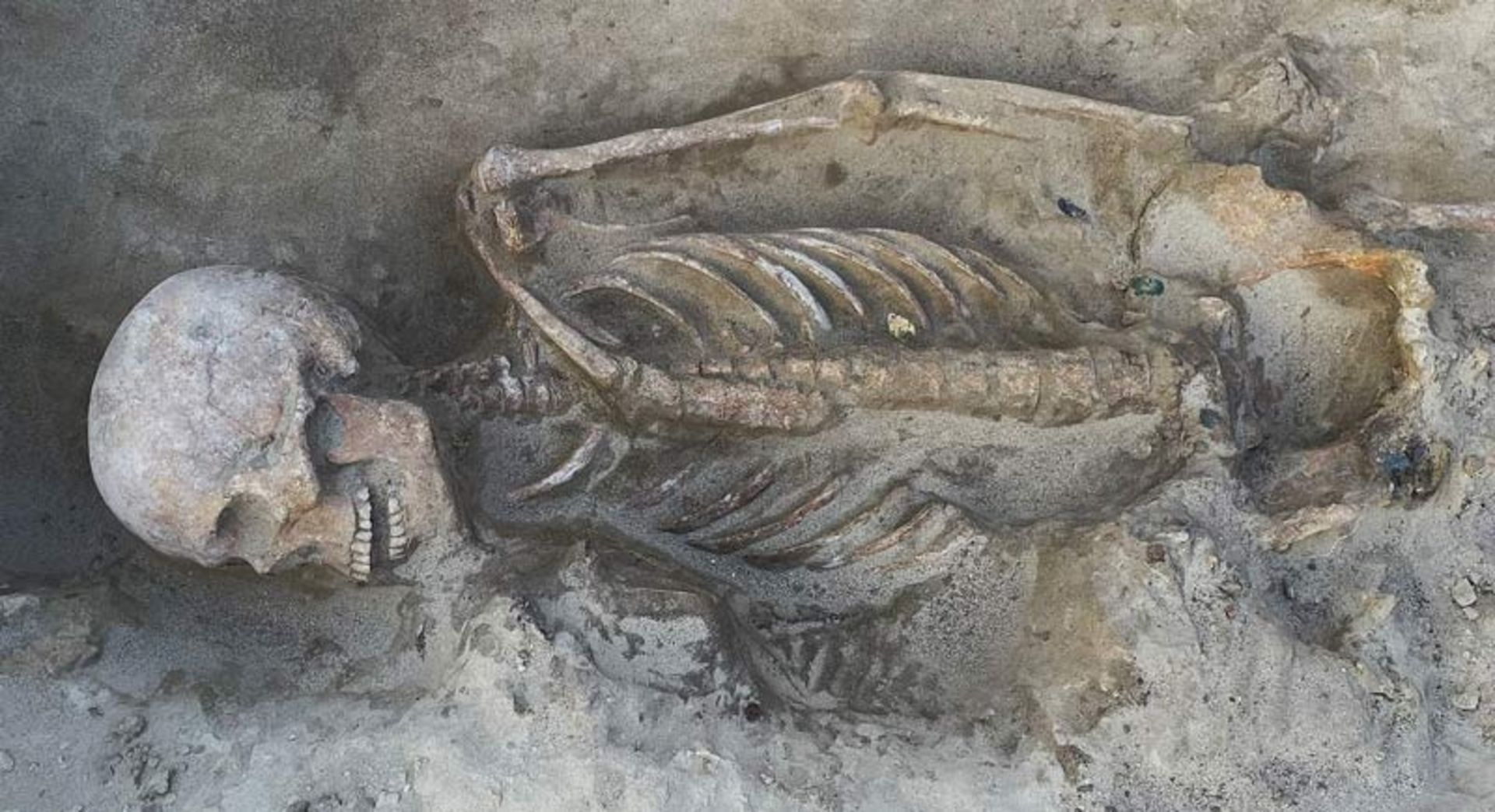 Skeleton of one of the warriors in the grave in good condition