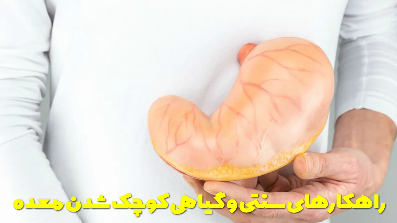 Traditional and herbal solutions to shrink the stomach