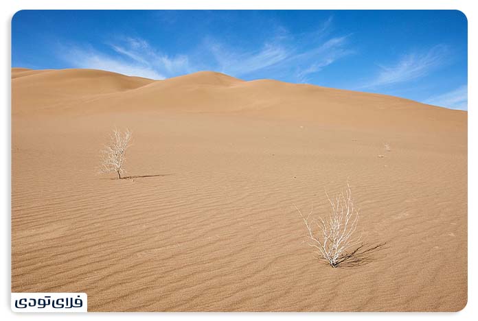 The history of the Rig Gen desert