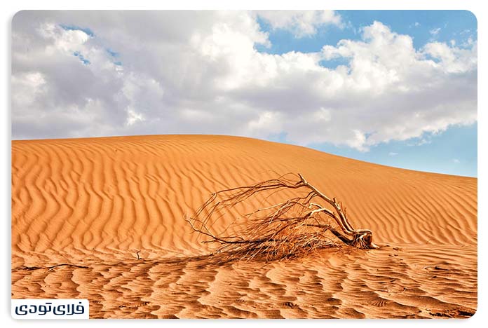 The best time to travel to Rig Jen desert