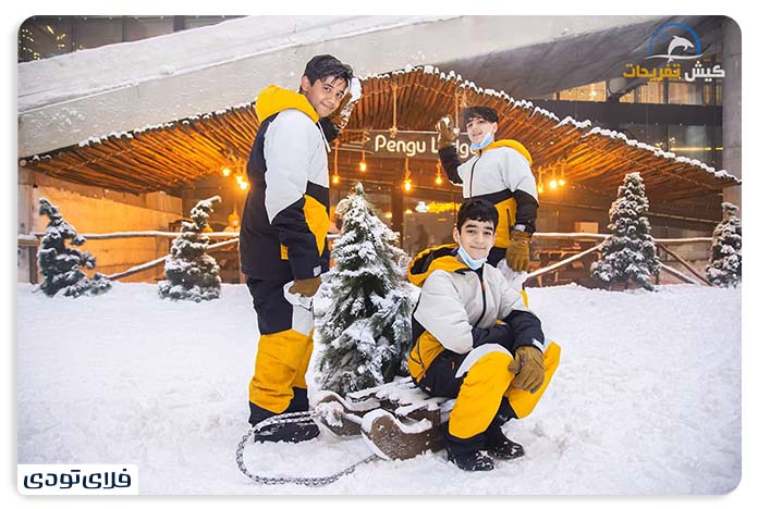 Kish Penguin Snow Park