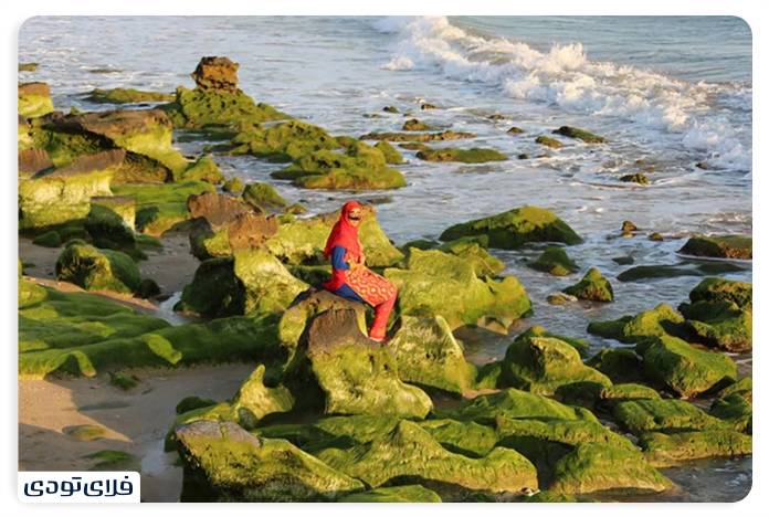 Persian coasts Persian coasts of Hormozgan The most pristine beaches of southern Iran
