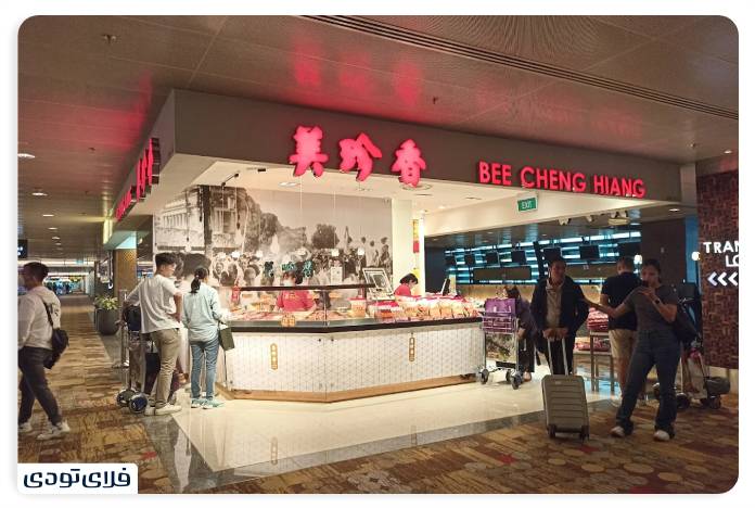 Iroduction of Singapore Airport