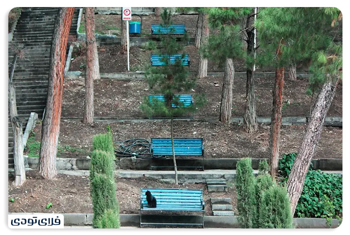 Sai Waliasr Park