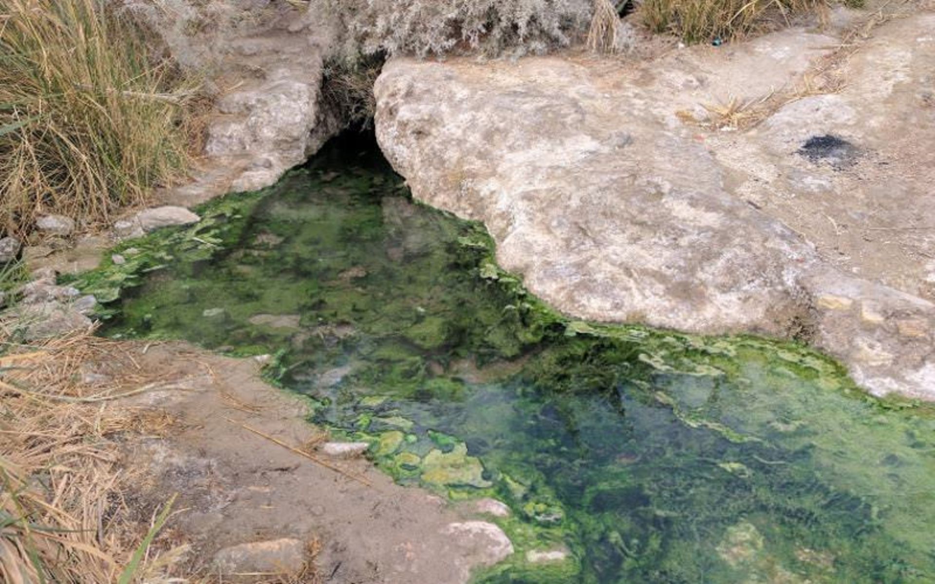 Dig Rostam Spa