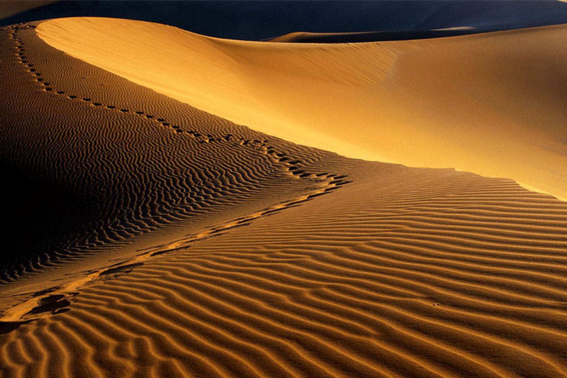 Human footpris on the sands of the desert plain 