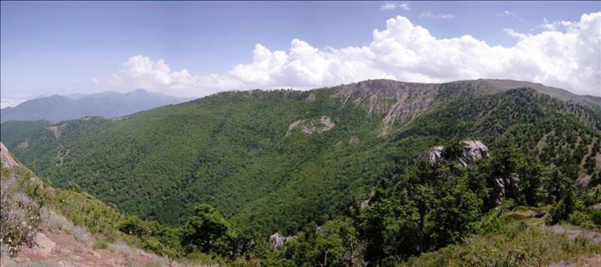 Lush vegetation of Tavar Narab mouain
