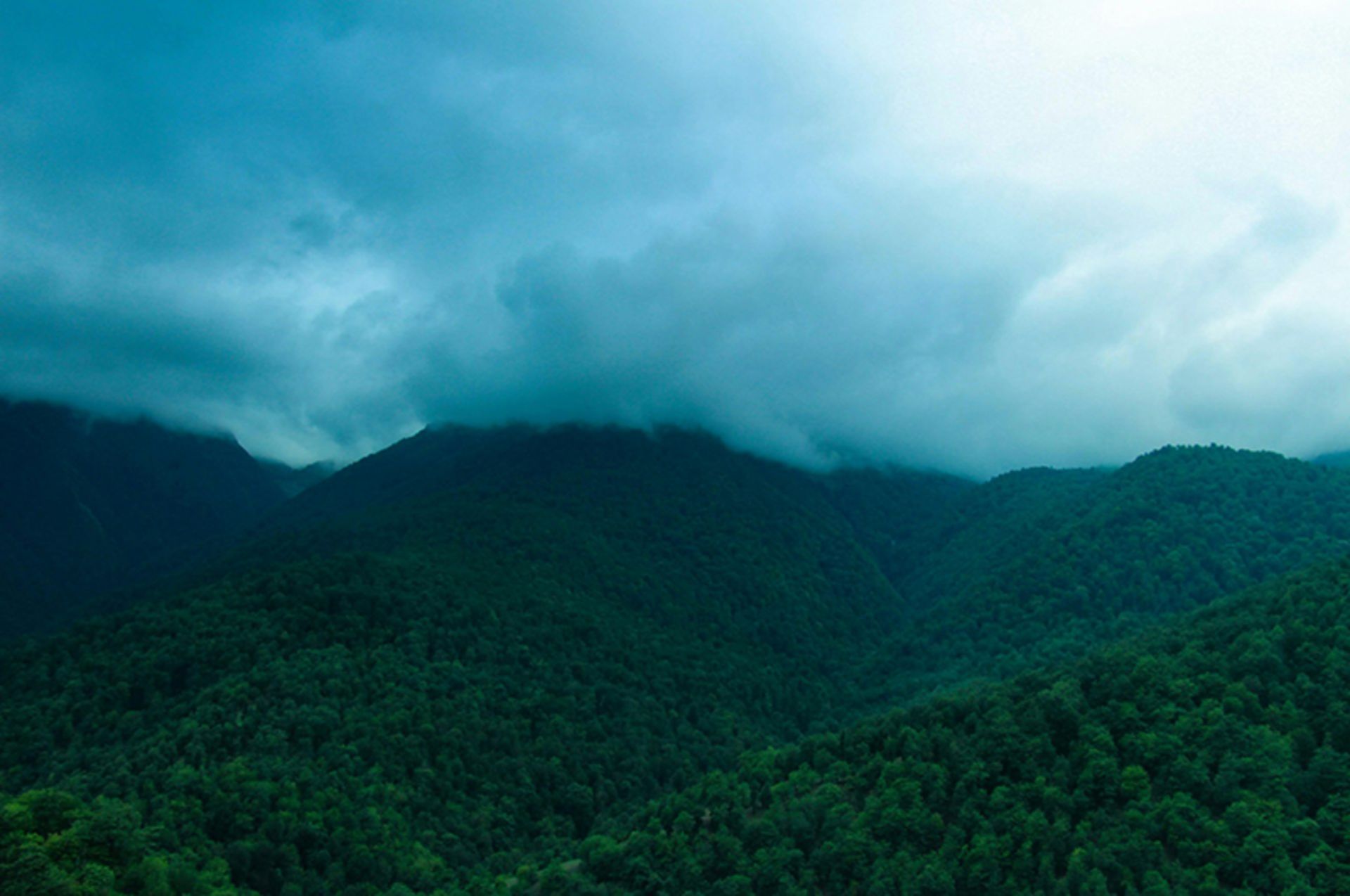 The green heights of Gorgan in summer