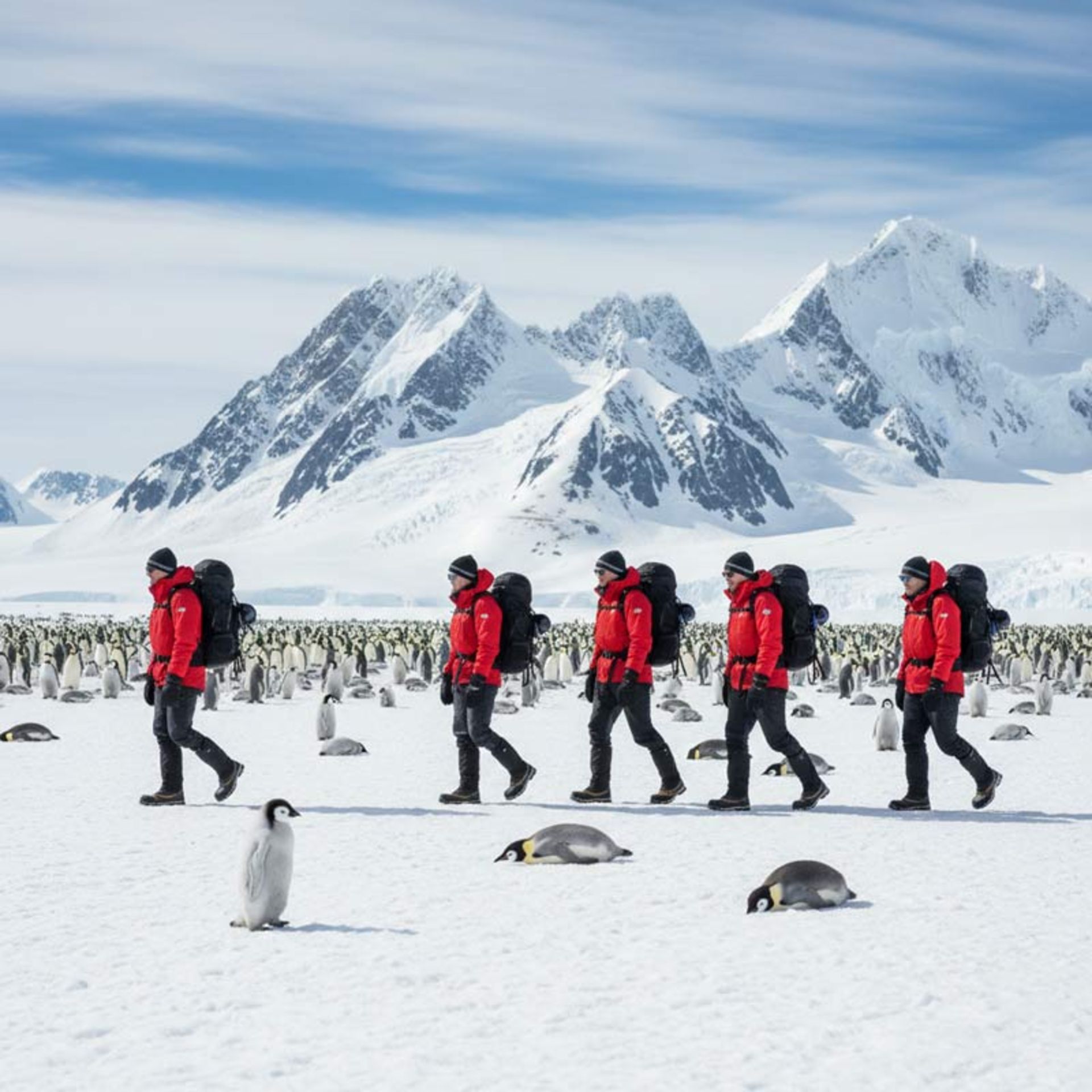 A group of tourists in special red clothes and black boots walking on the snow of Aarctica