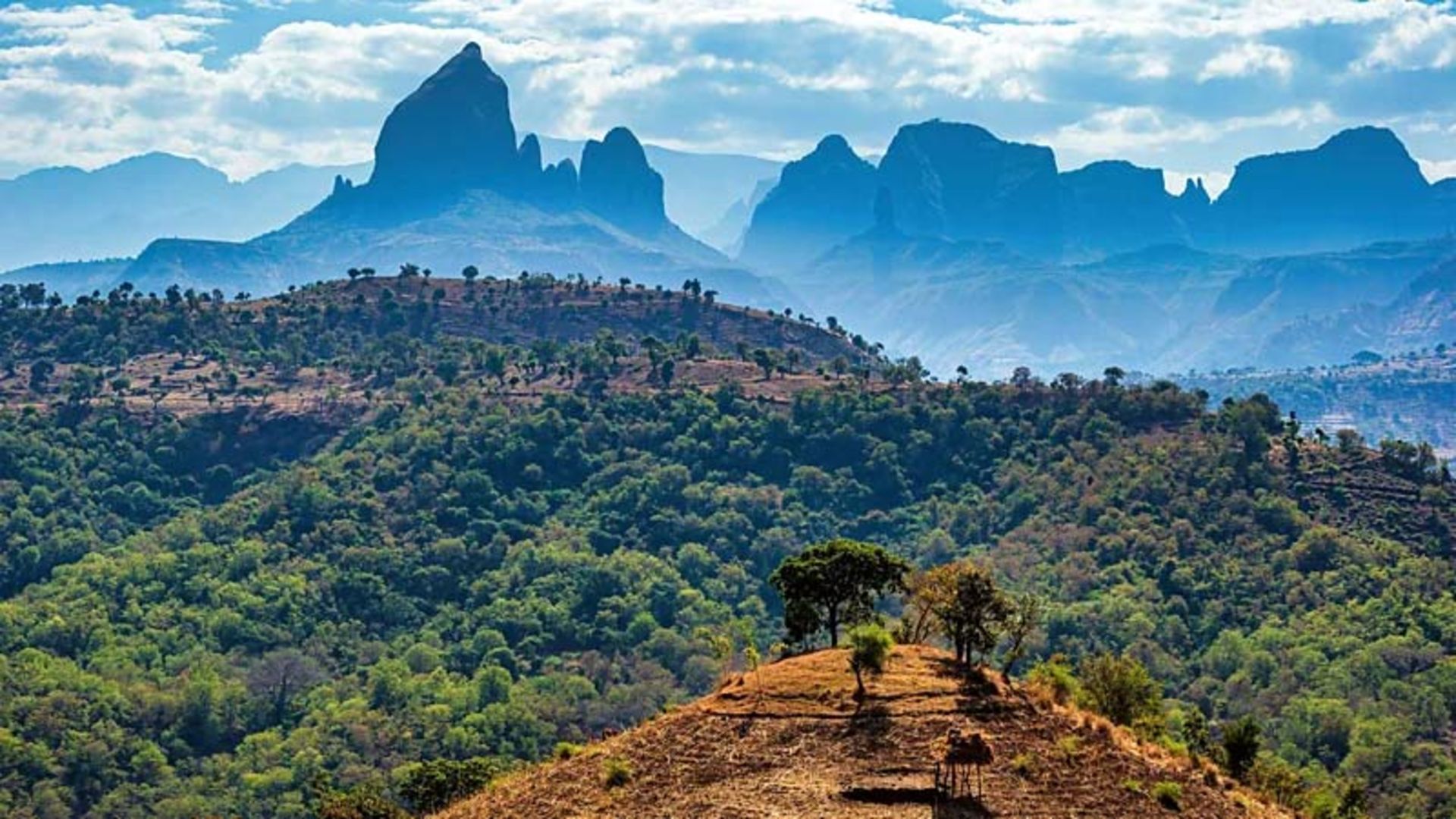 A wide view of the lush green hills of Ethiopia with high jagged mouain peaks.