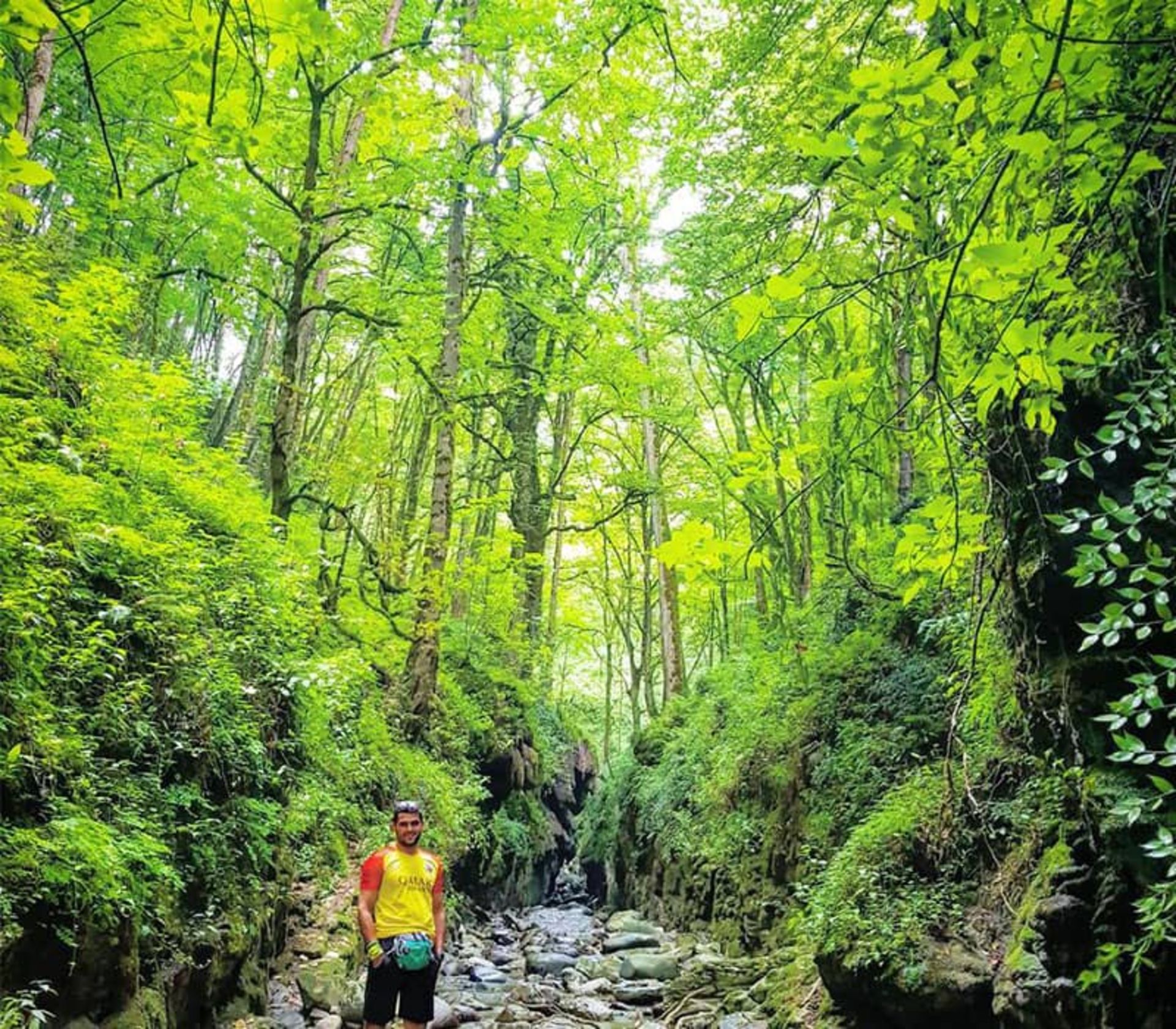The forest path to reach Mahi Meshu waterfall