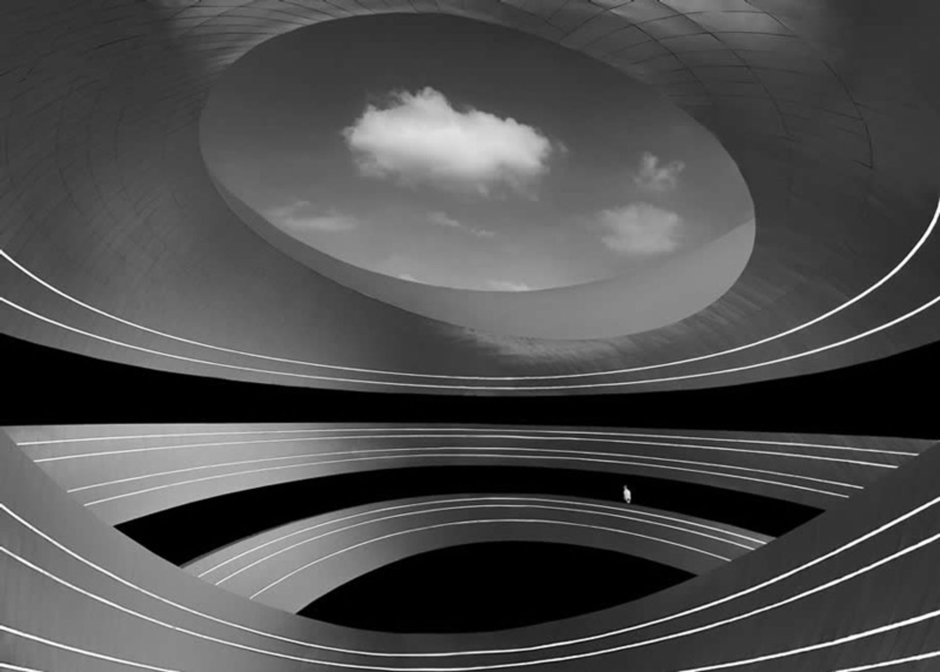 A photo called 