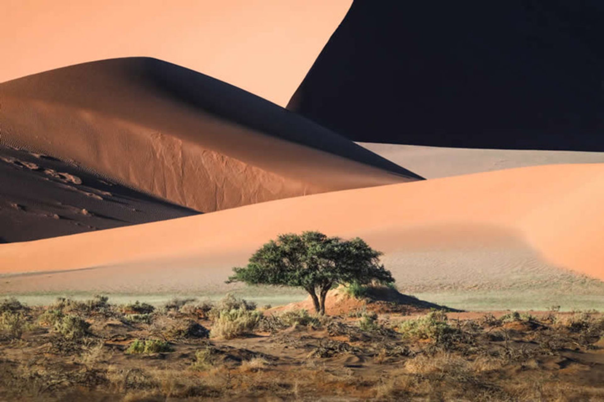 Desert shapes and patterns