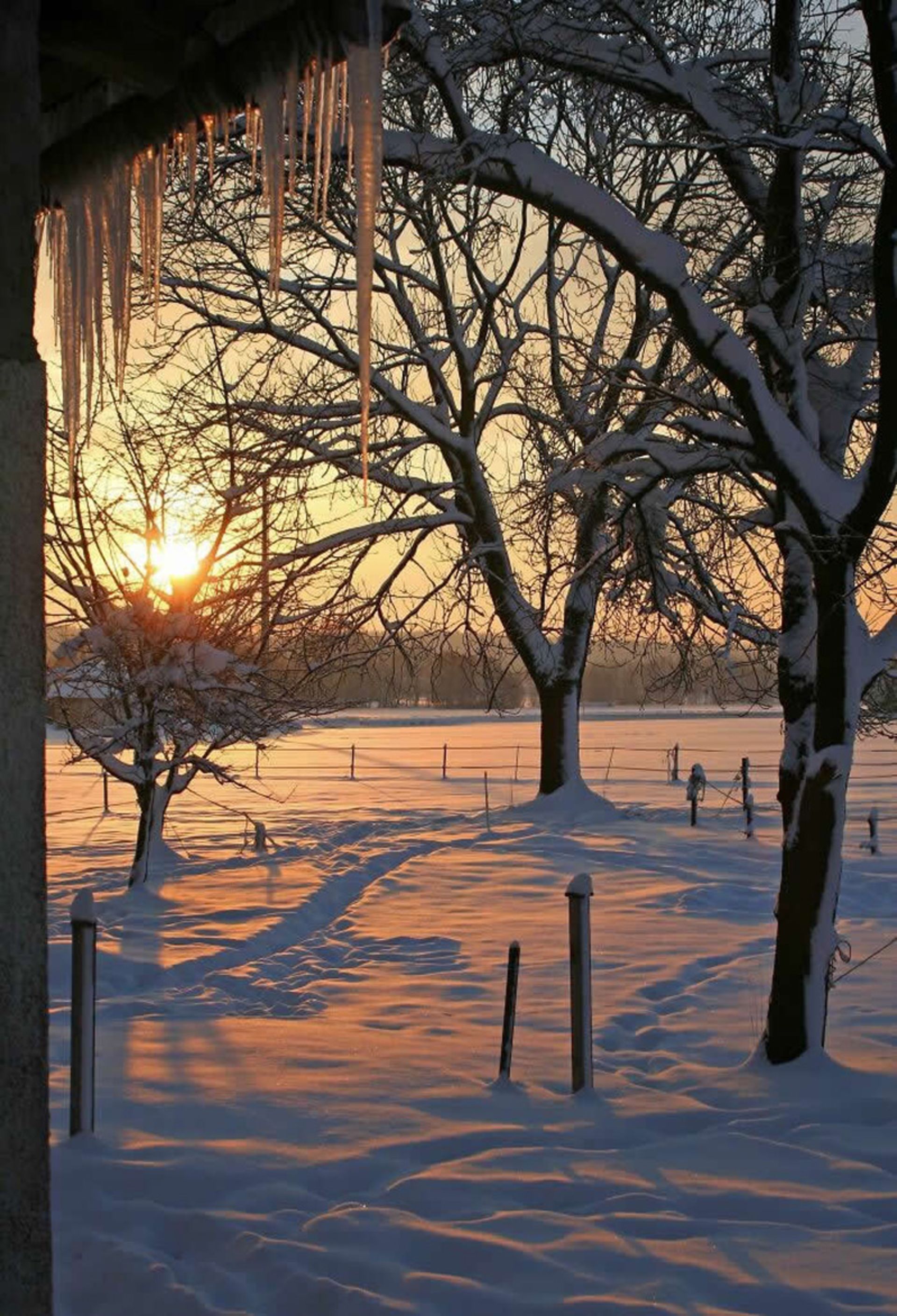 Sunrise on a wier morning
