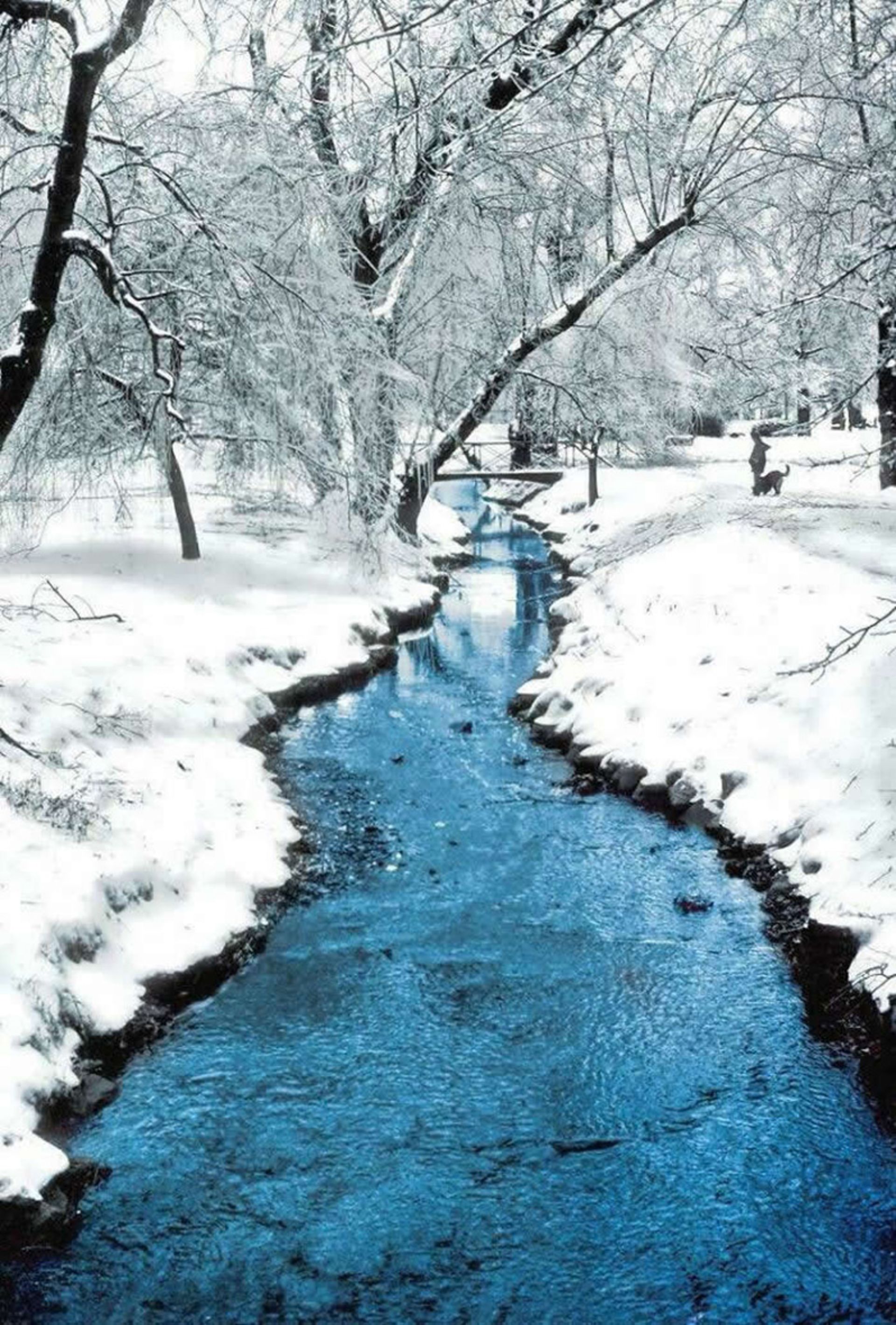 Crossing the river through the snowy forest