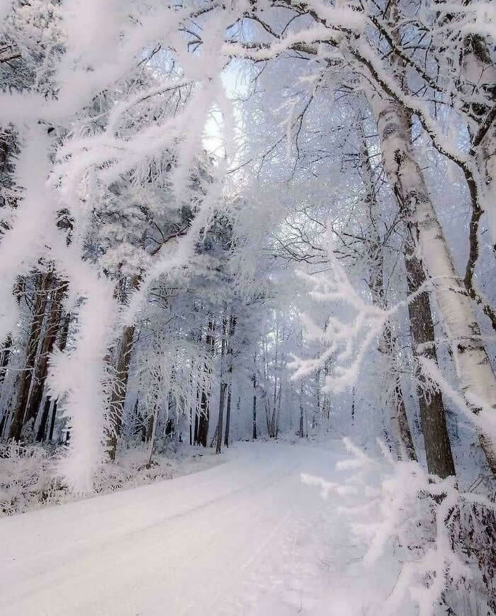 Snow trail in Finland