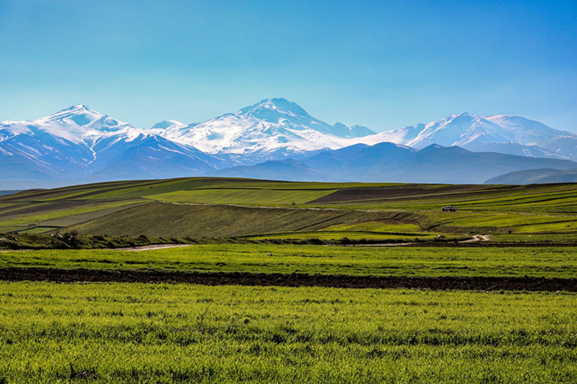 Green plains around Ardabil