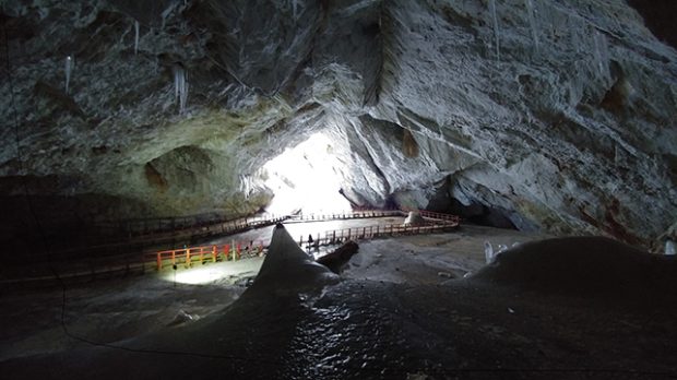 The alarm of the revival of thousands of years of frozen bacteria