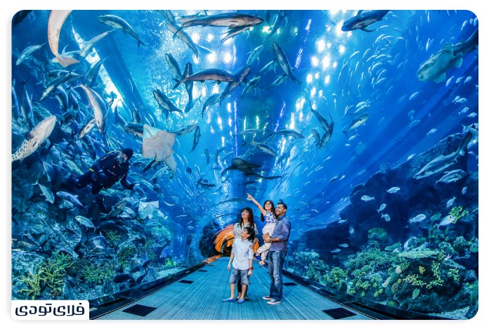 Dubai Aquarium