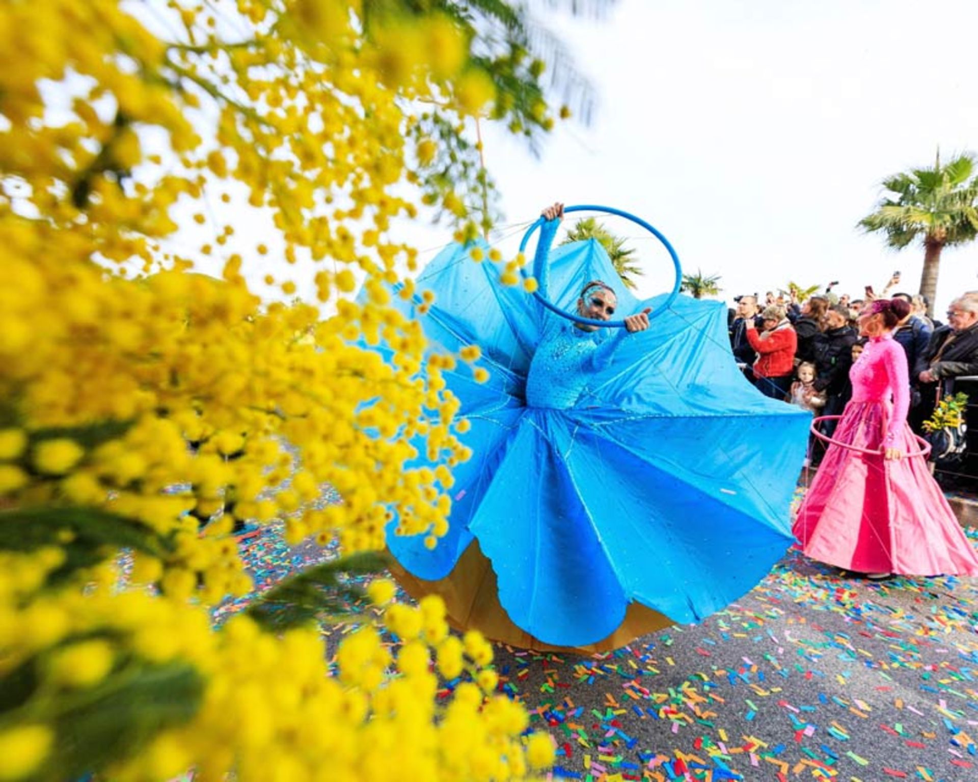 A blue-dressed dancer performing at the Mimosa Yellow Flower Festival in the south of France