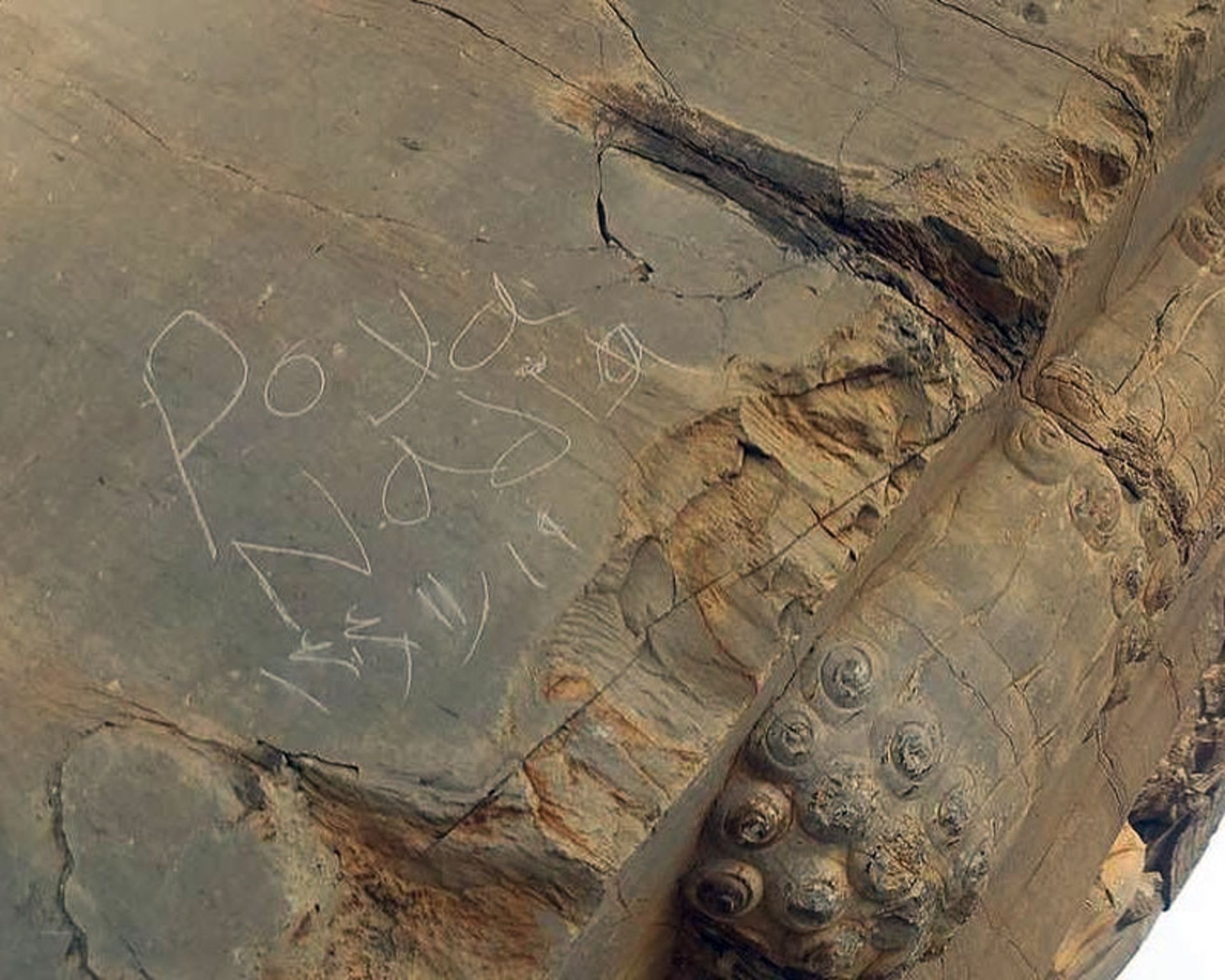 Damage to Persepolis