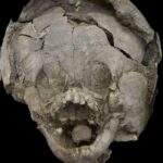 Children's skulls