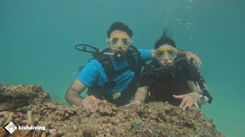 Diving in Kish in the first five-star club with special facilities
