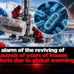 The alarm of the reviving of thousands of years of frozen bacteria due to global warming