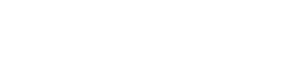Flow Genio Logo dark